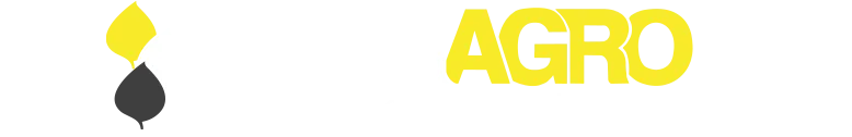 logo divided img light
