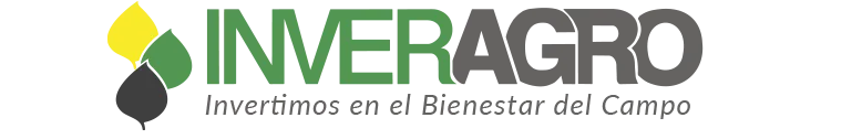 logo divided img 1 copia