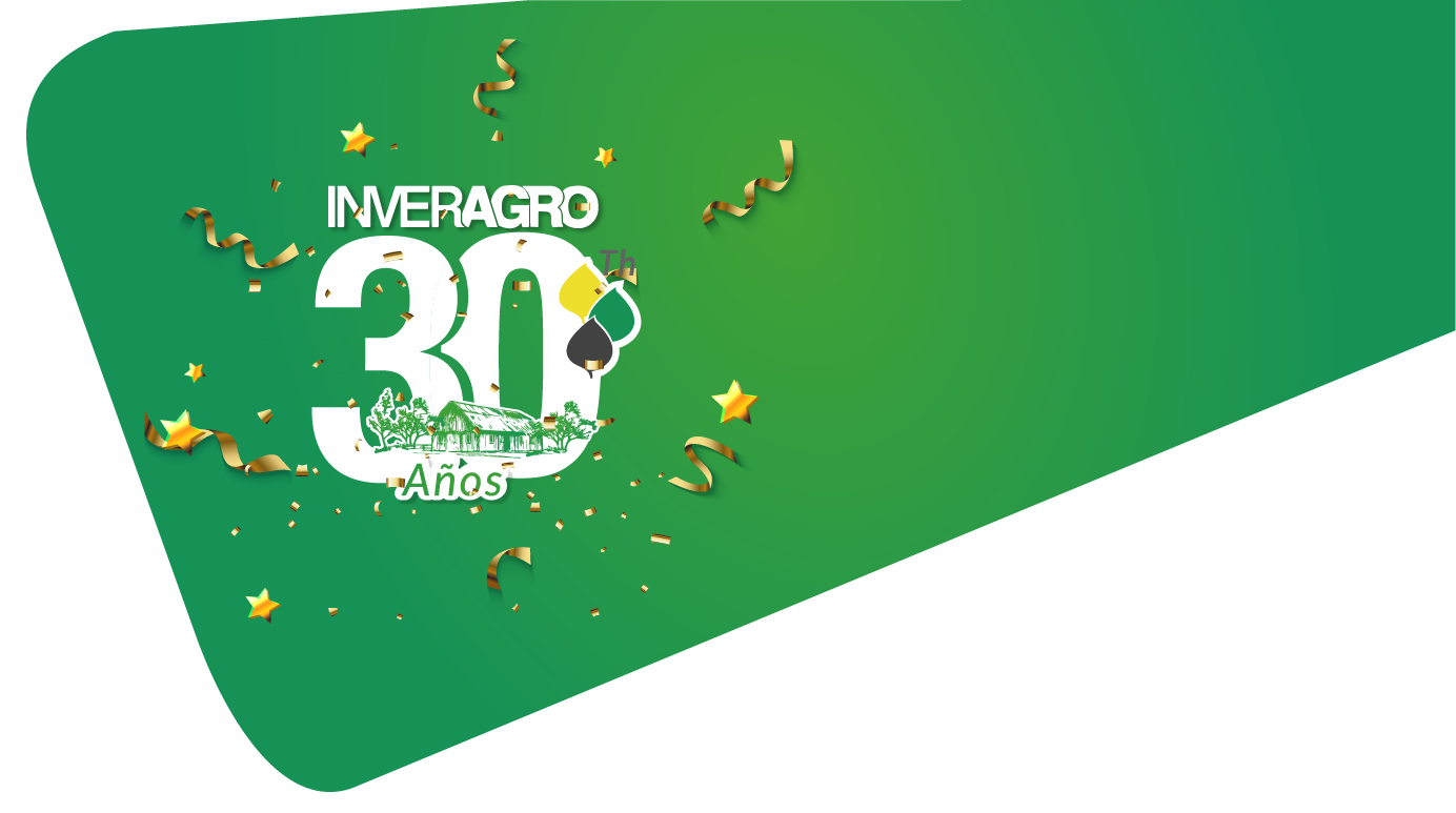 banner aniversario web2 08